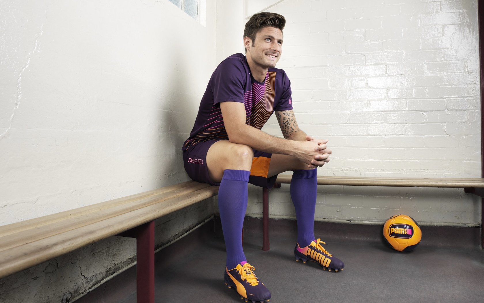 警犬障碍赛 陪同警员和犬只一起冲过障碍